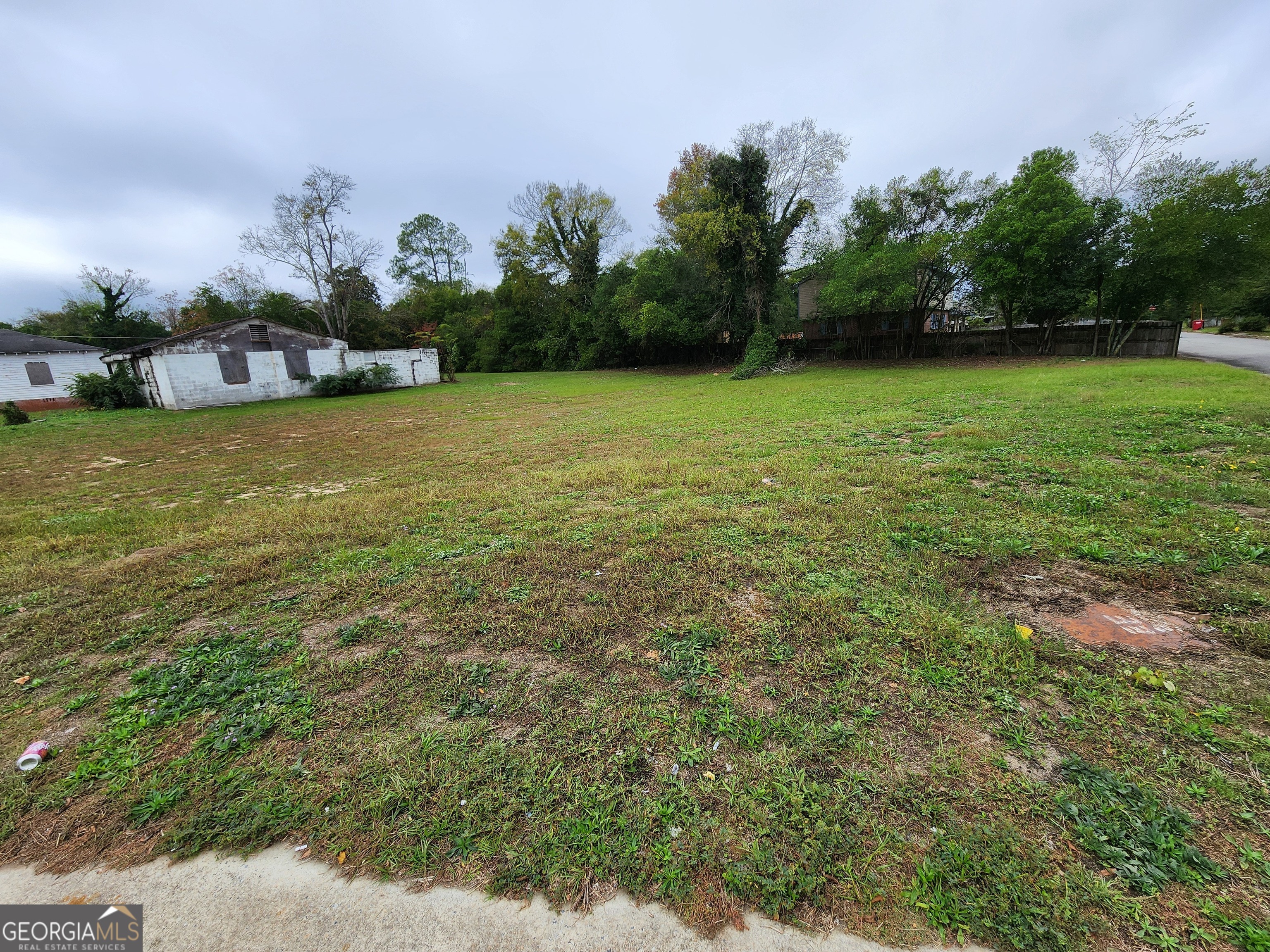 a view of a green field with plants in front of the house