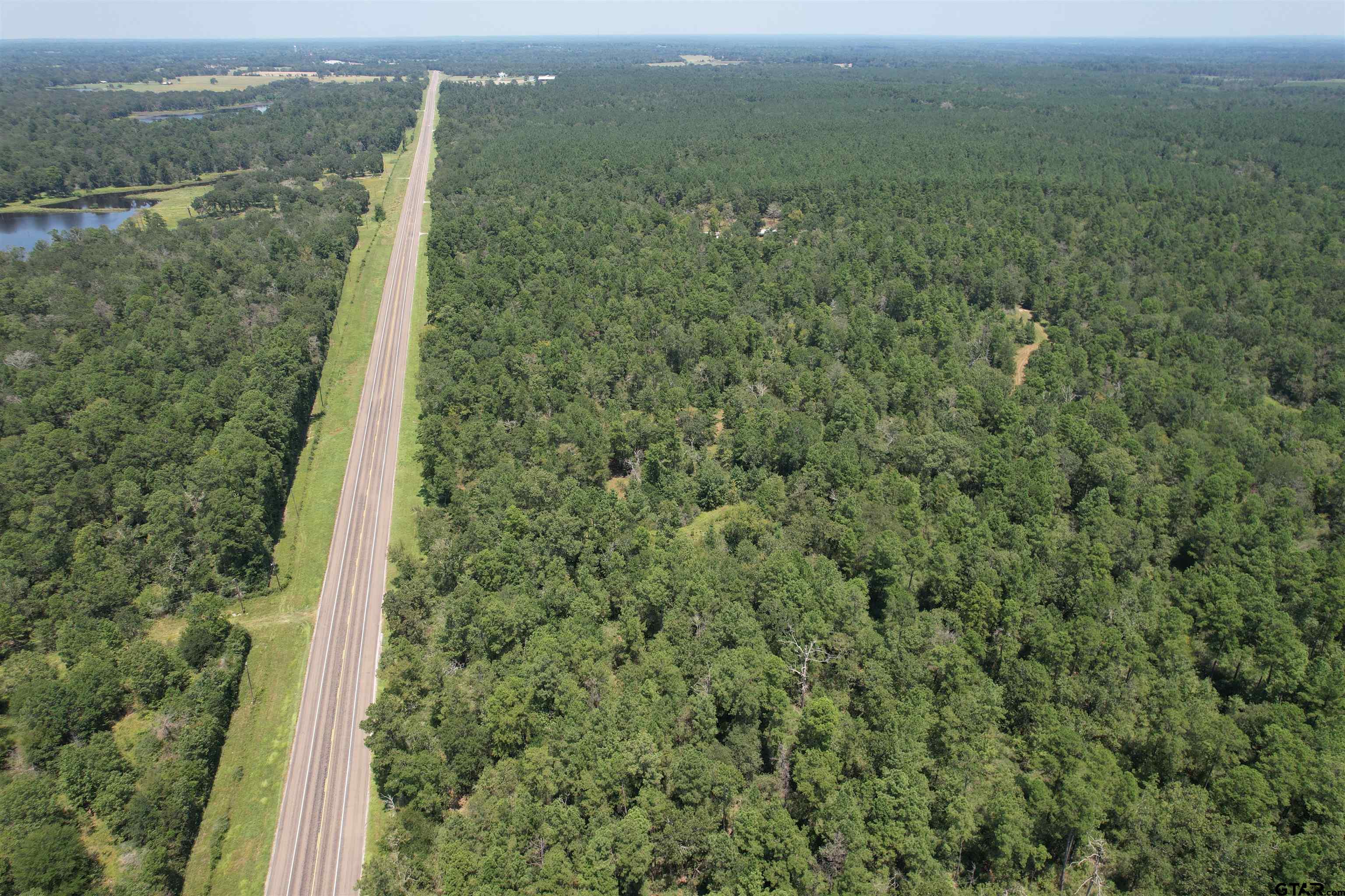 a view of a forest