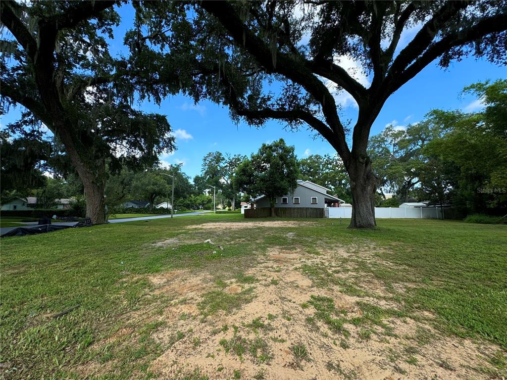 a view of backyard with trees