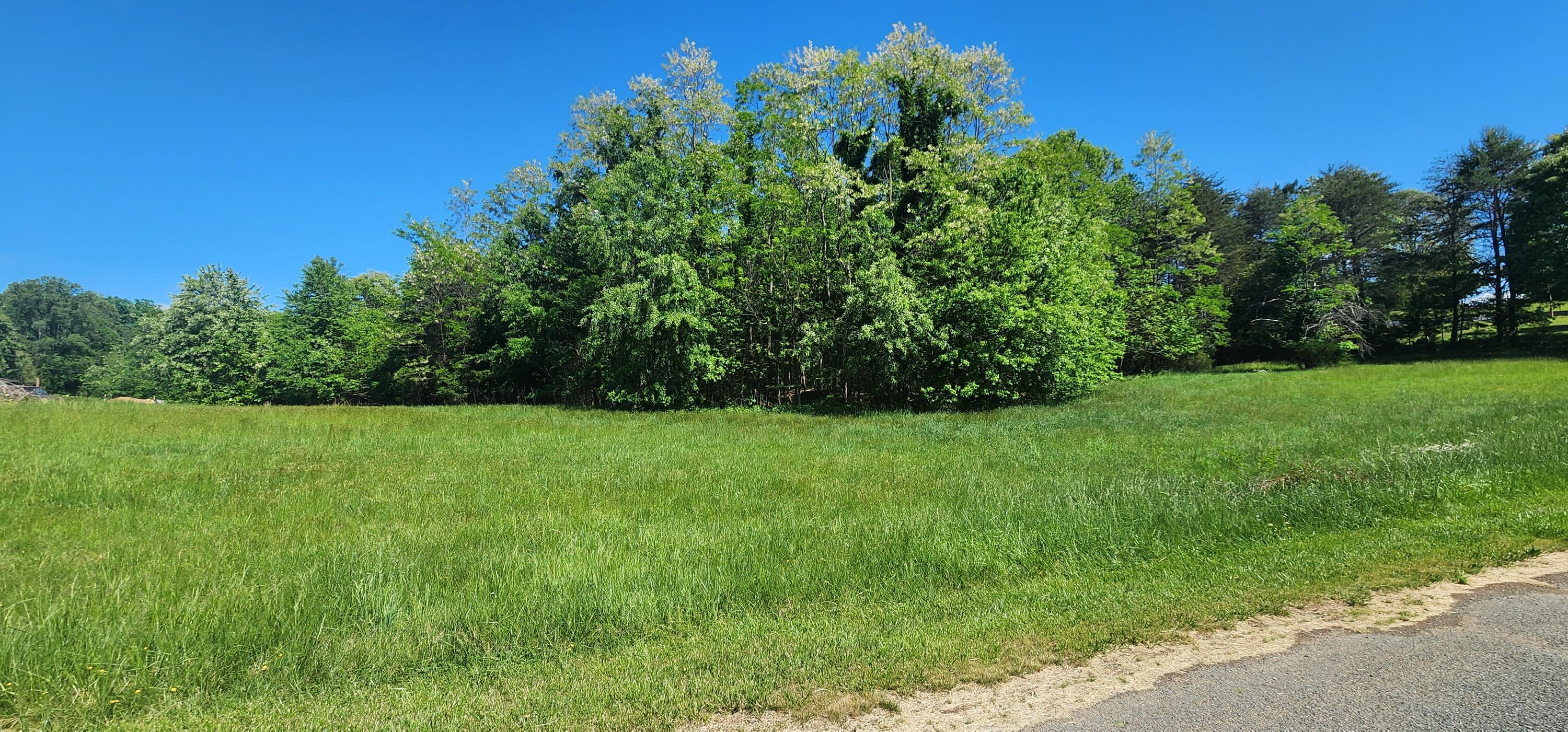 a view of a garden