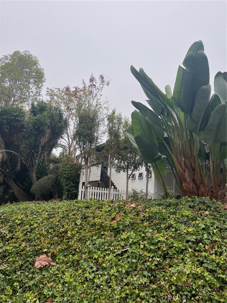 a garden view with iron fence