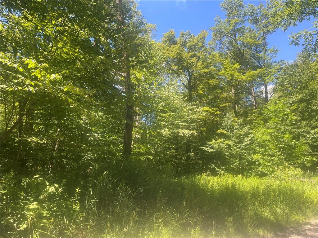 a view of a lake from a yard