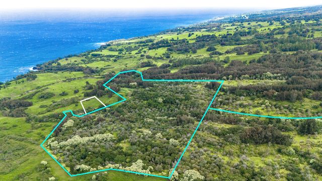 $1,495,000 | 47-4536 Lot B-1 Honokaa Waipio Road | Kapulena