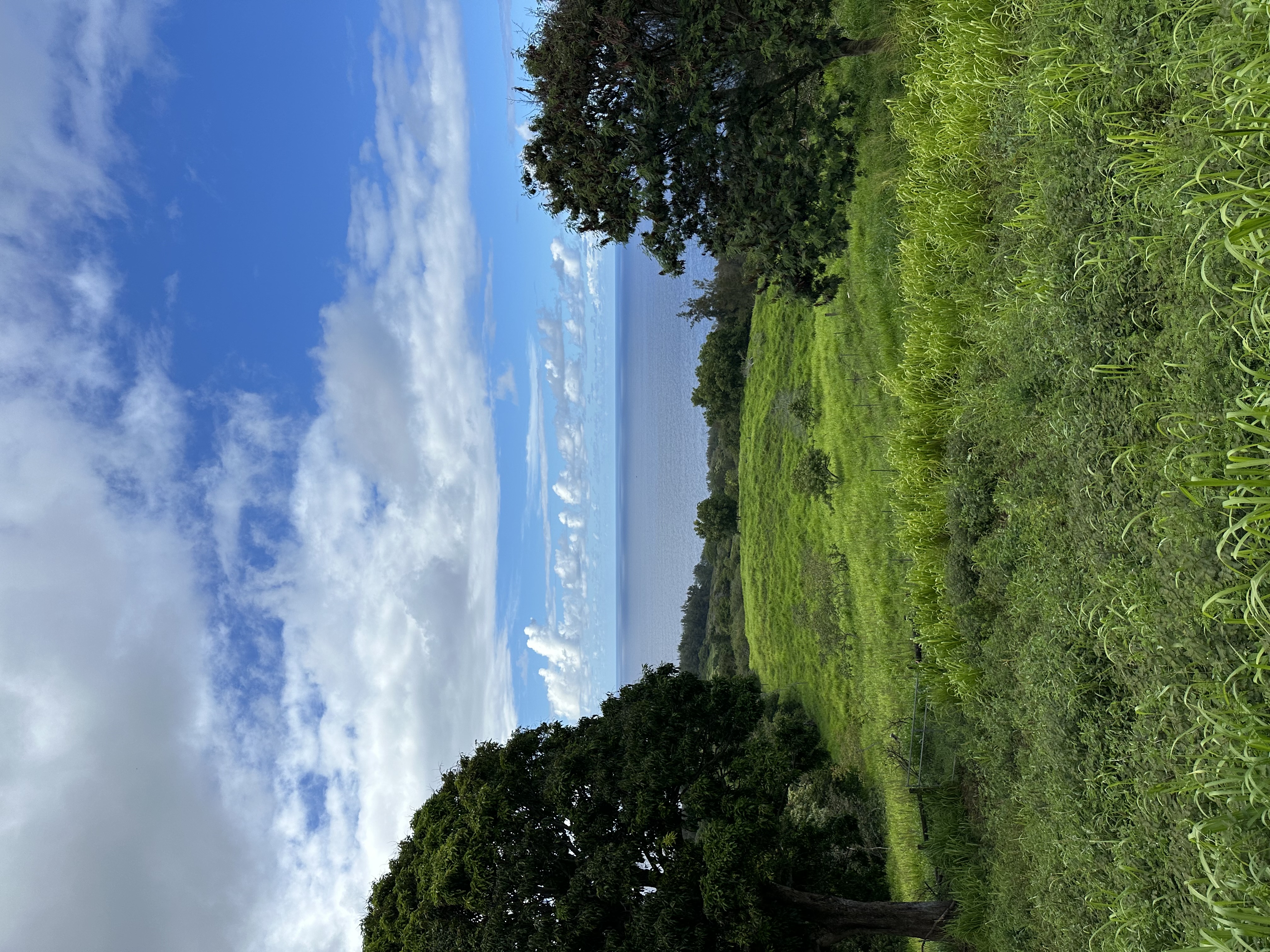 View from heart of the property.