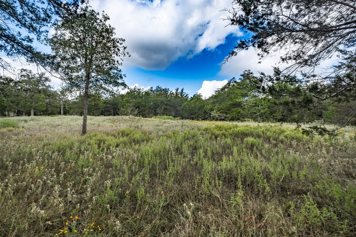 a view of a green field with lots of bushes