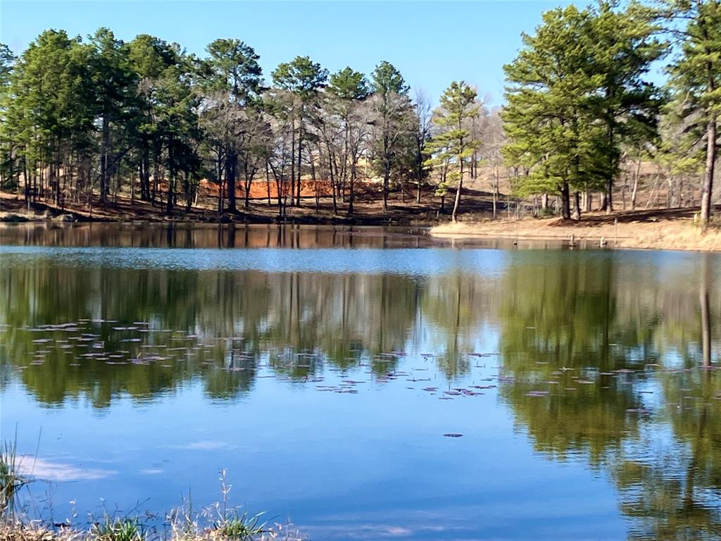 a view of lake