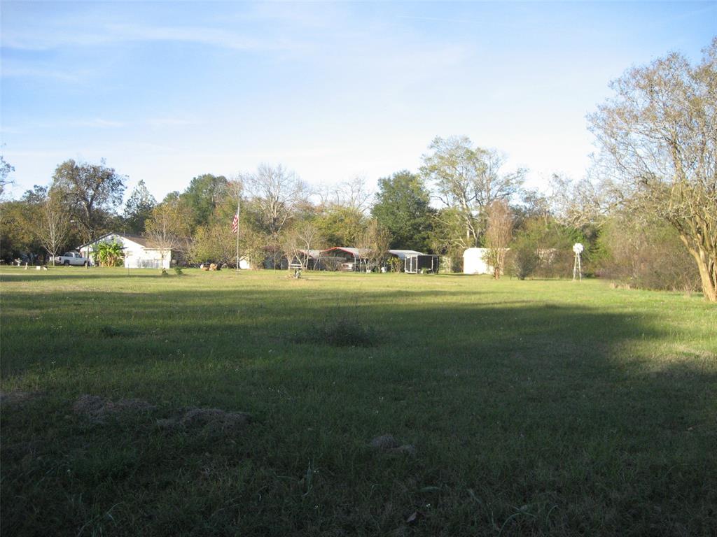 a view of grassy field with trees