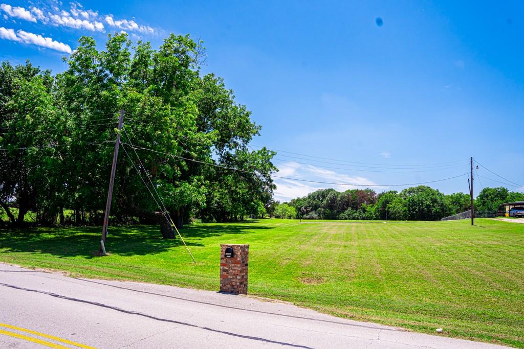 a view of a park with large trees