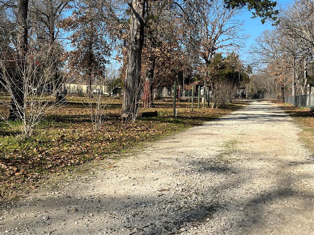 a view of a yard with a tree