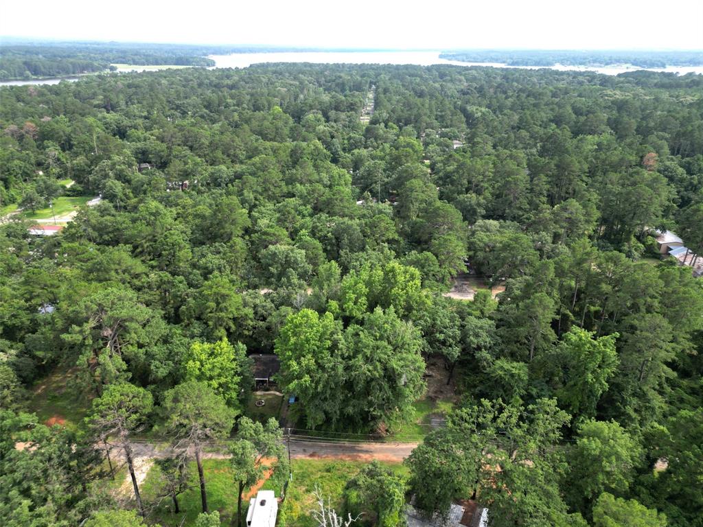 an aerial view of forest