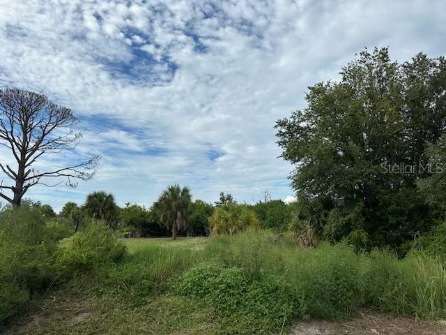 a view of a field of grass and trees