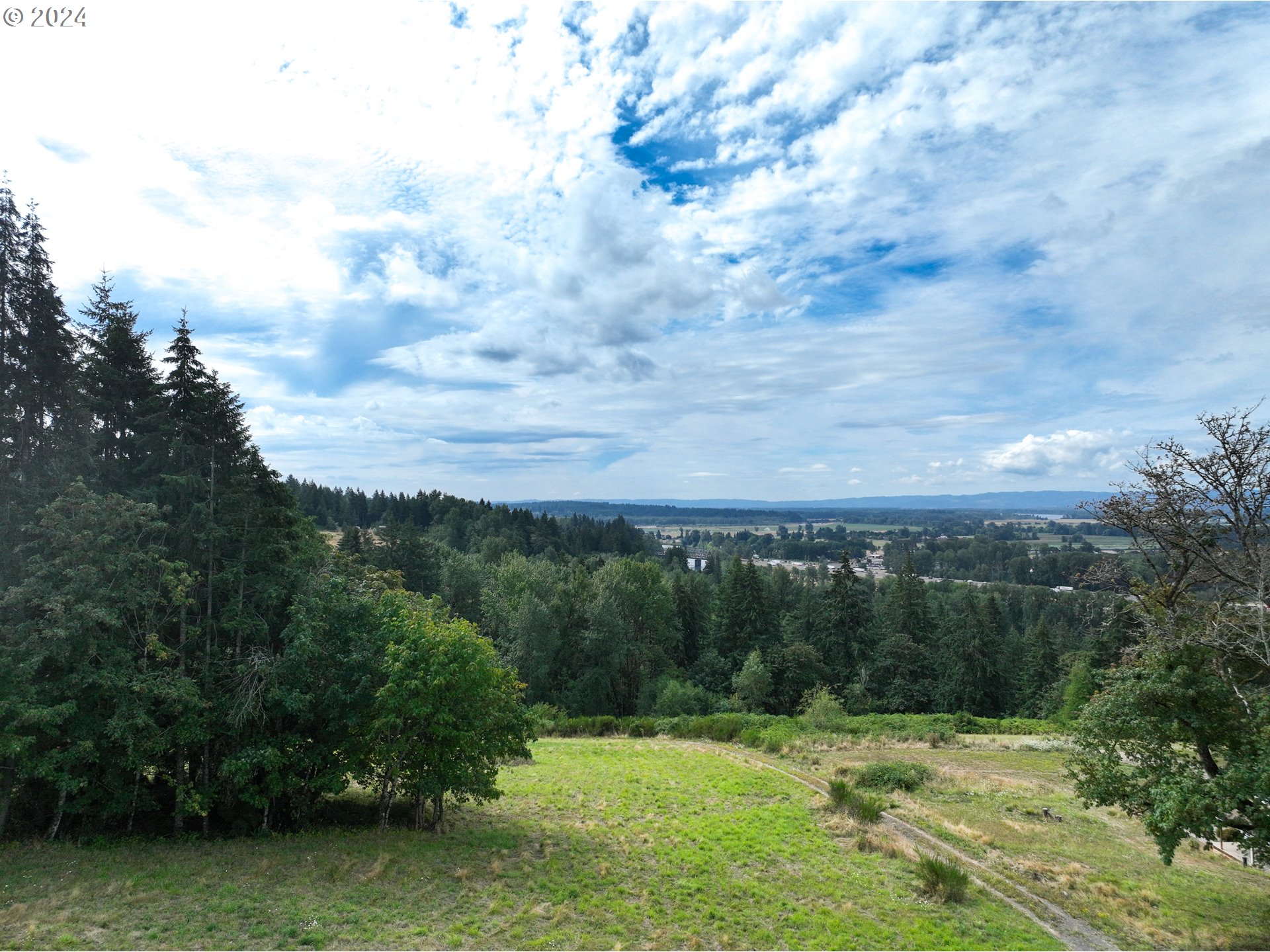 a view of a city with lush green forest