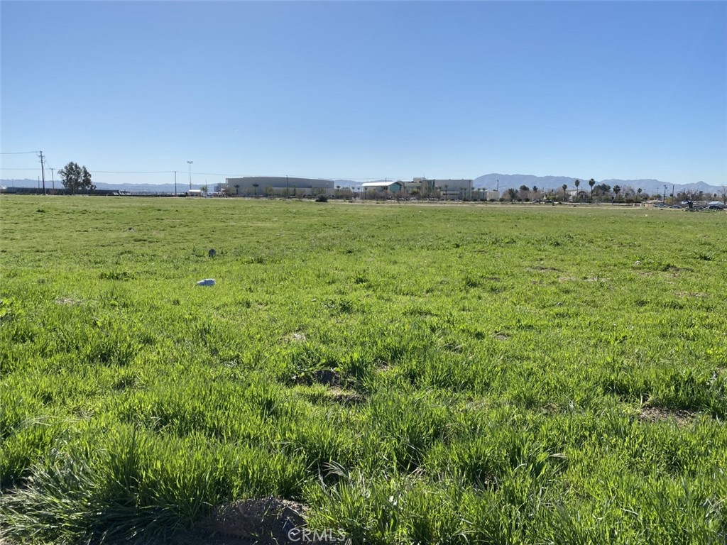 a view of a field with an ocean