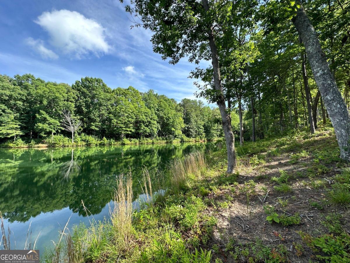 a view of lake with green space