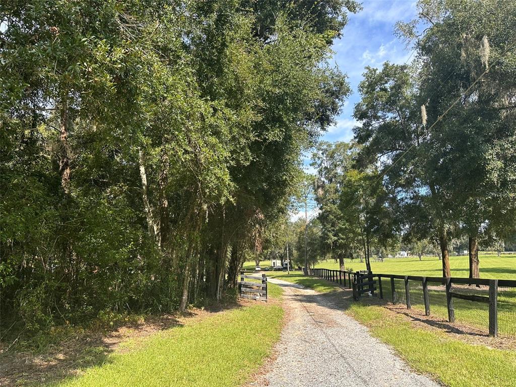 a view of a park with trees in the background