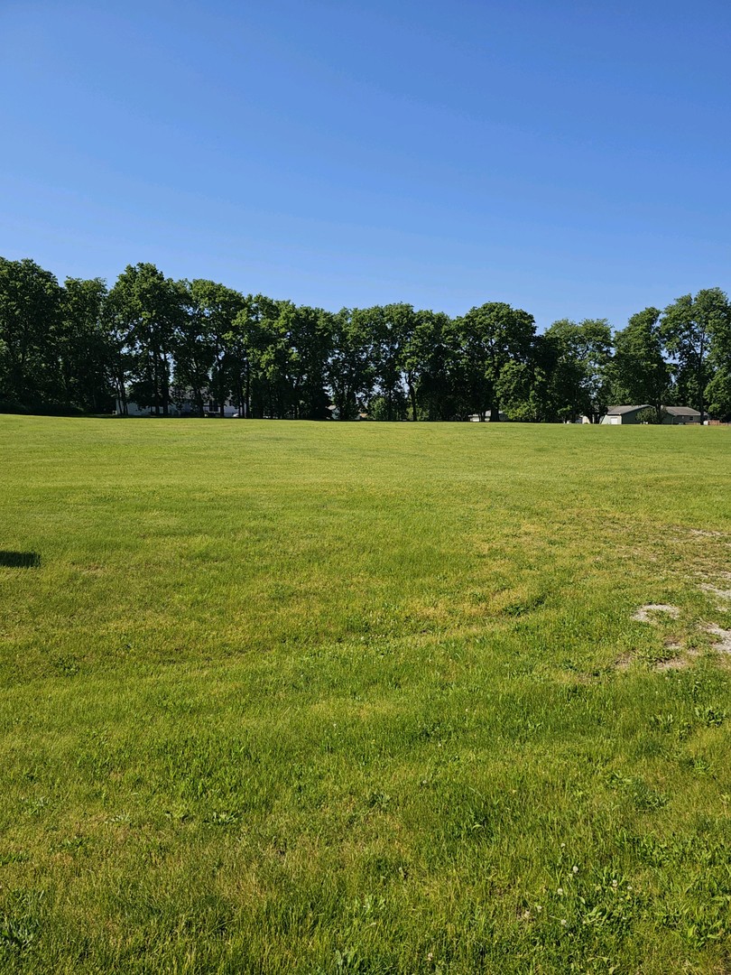 a view of a field with an ocean