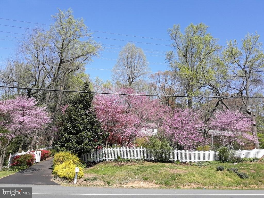 a view of yard with tree in the background