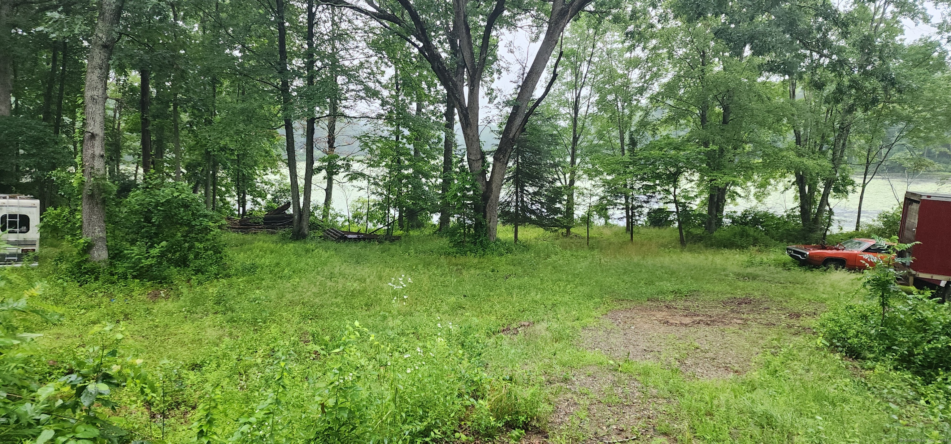 a view of a green field with lots of bushes