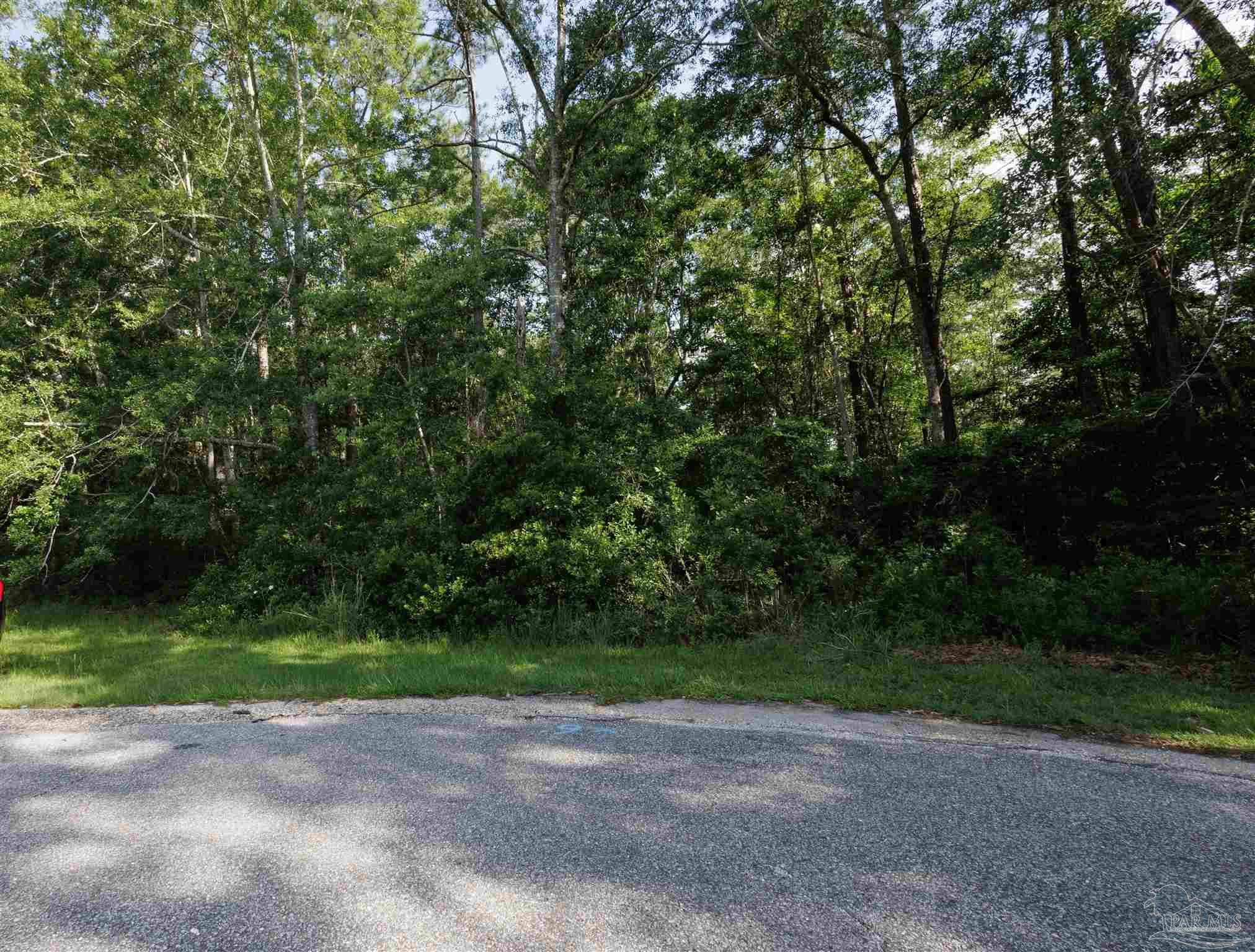 a view of a yard with a trees