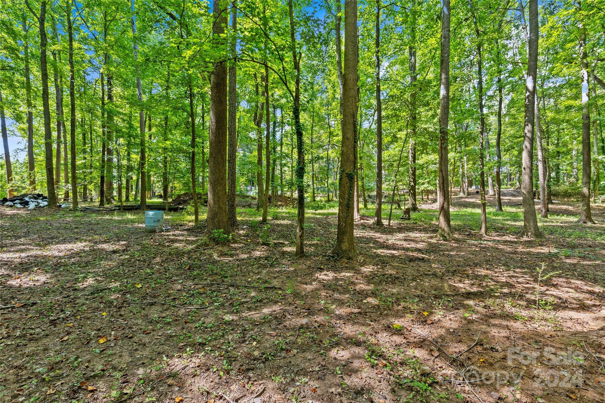 a view of outdoor space with trees