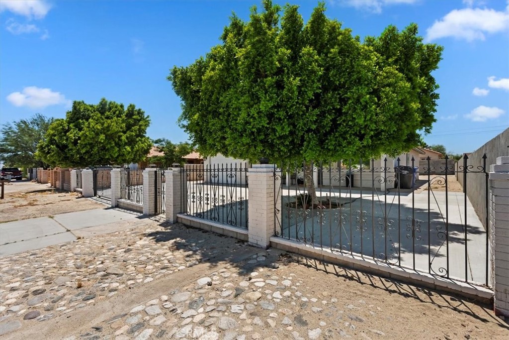 a view of a backyard with a large tree