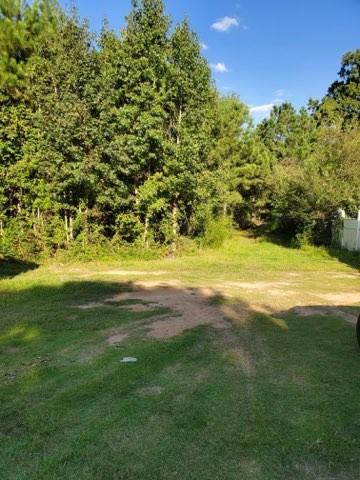 a view of yard with swimming pool and green space