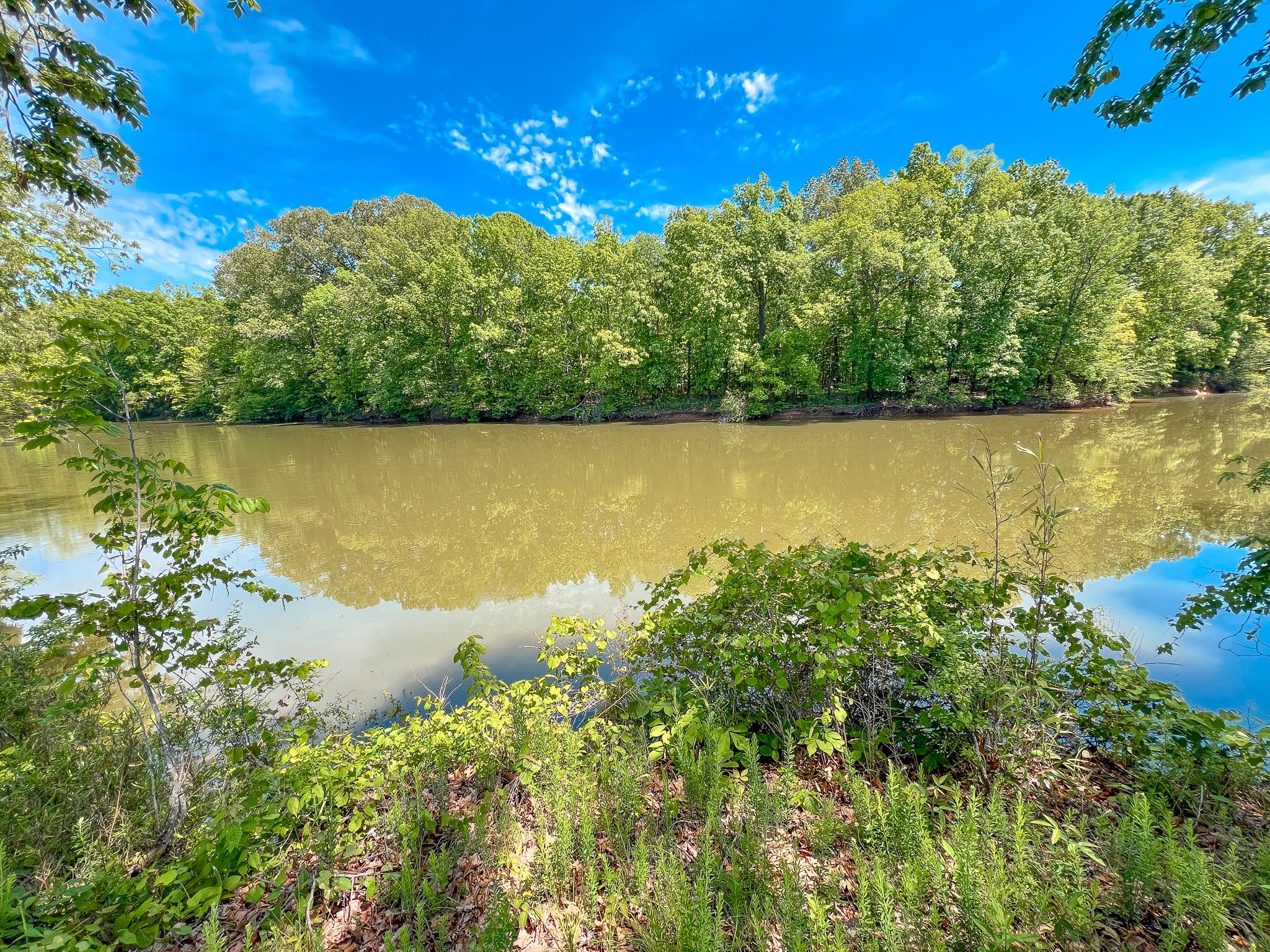 a view of a lake with a mountain in the background