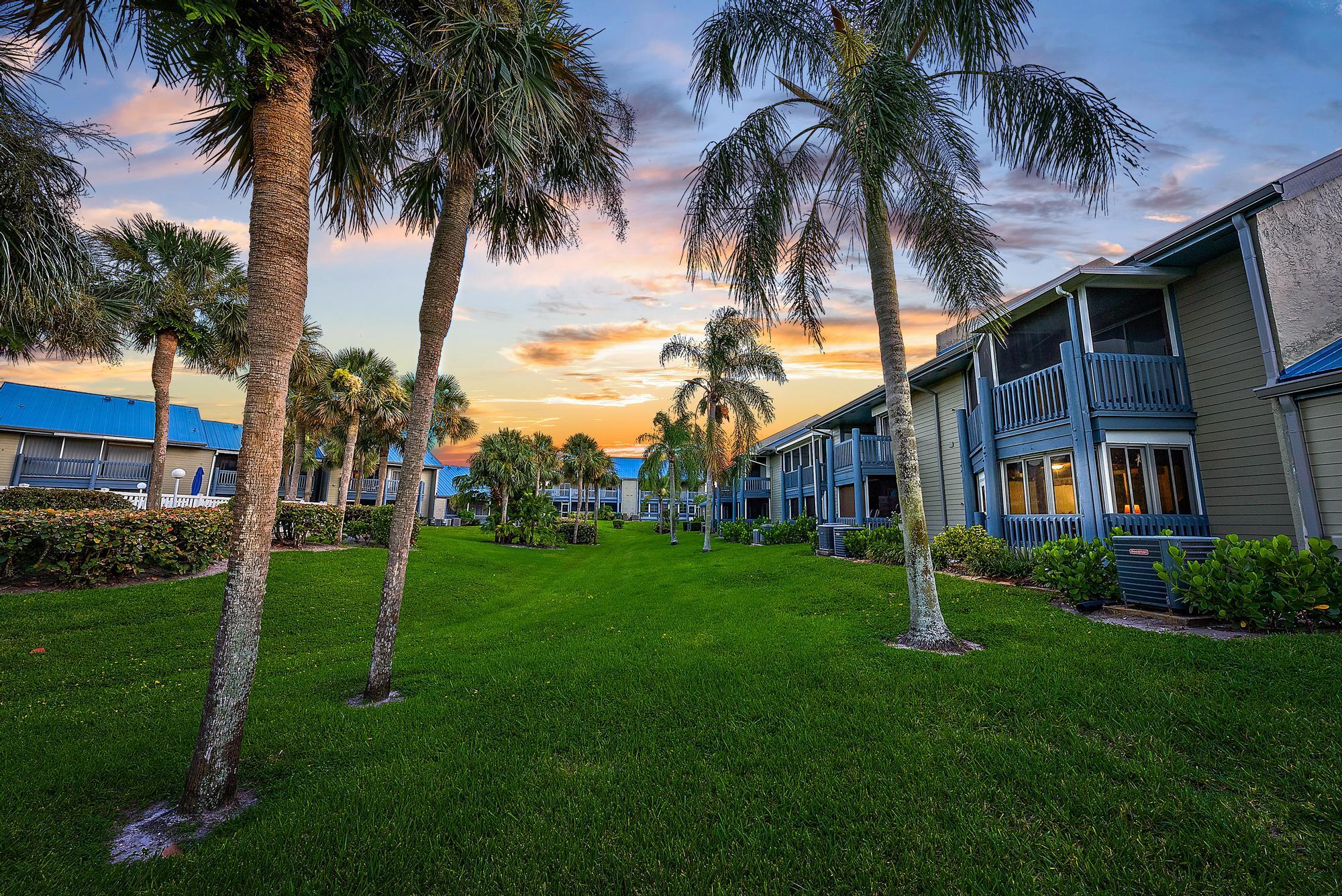 a view of a yard in front of a house