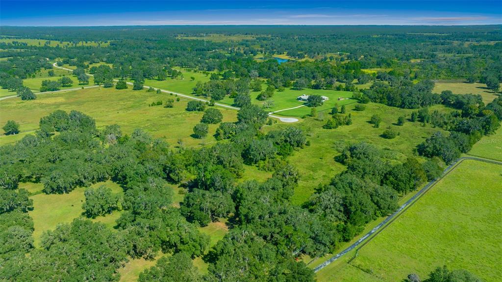 a view of a lush green space