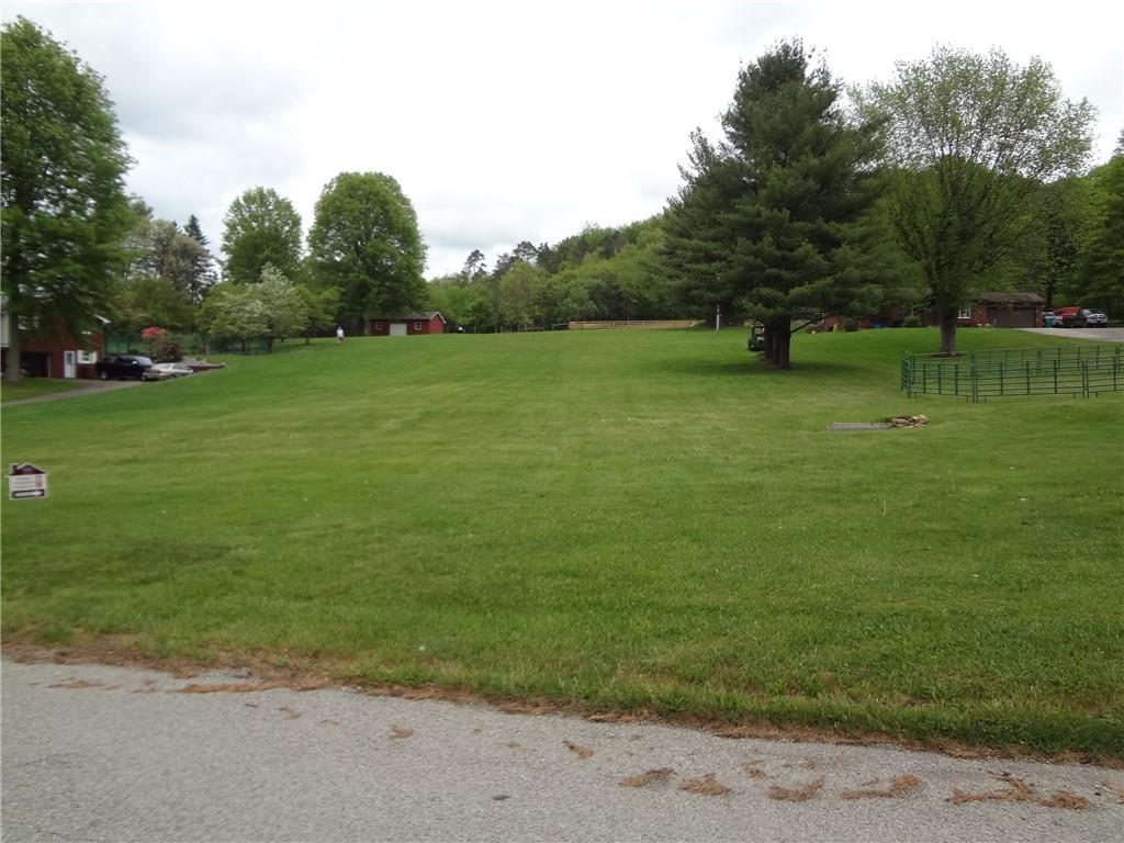 a view of a field with grass