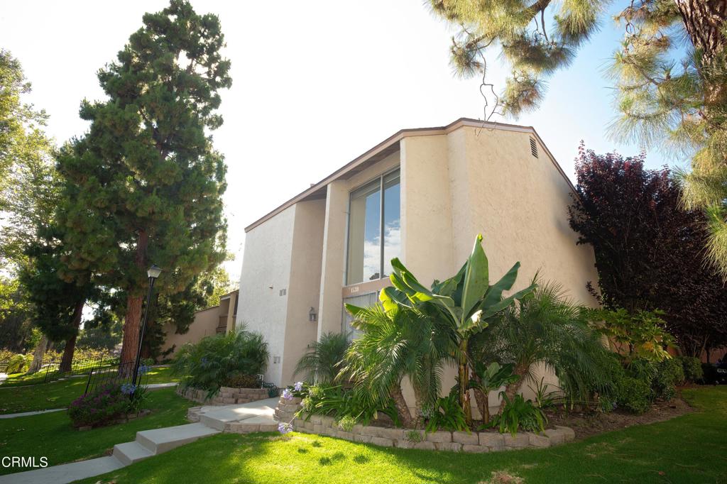 a view of a backyard with plants and large trees