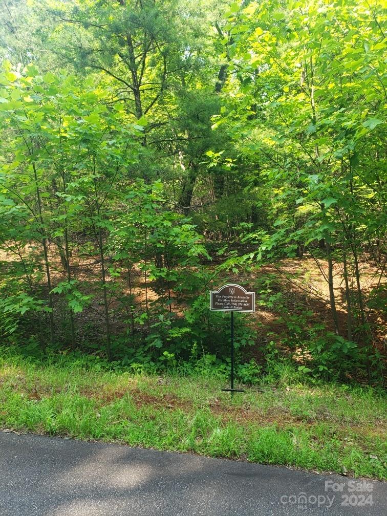 a view of a garden