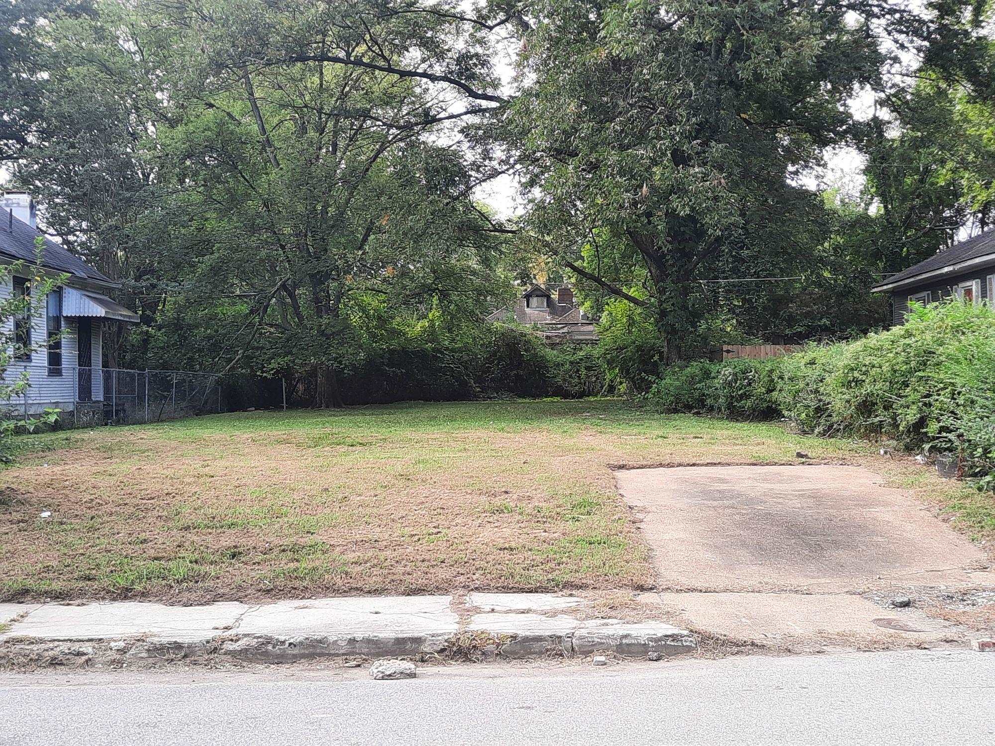 a view of a yard with plants and trees