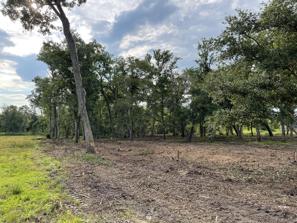 a view of a field with trees in the background