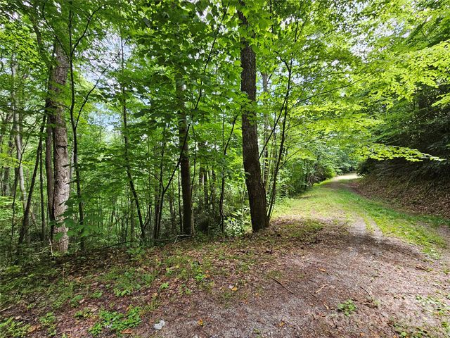 $45,000 | 0 Autumn Drive, Unit 2 | White Oak Township - Haywood County