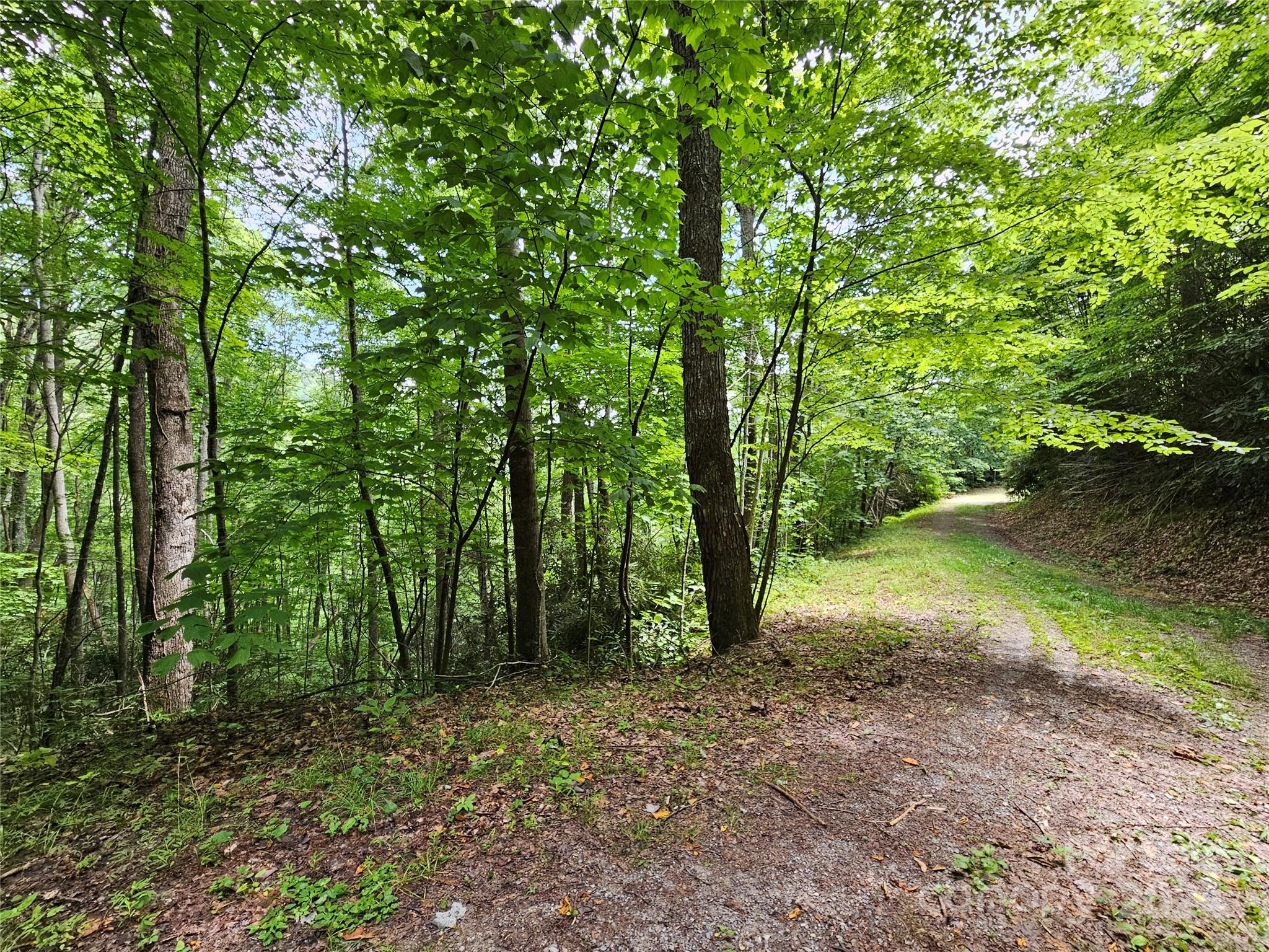 a view of outdoor space and trees