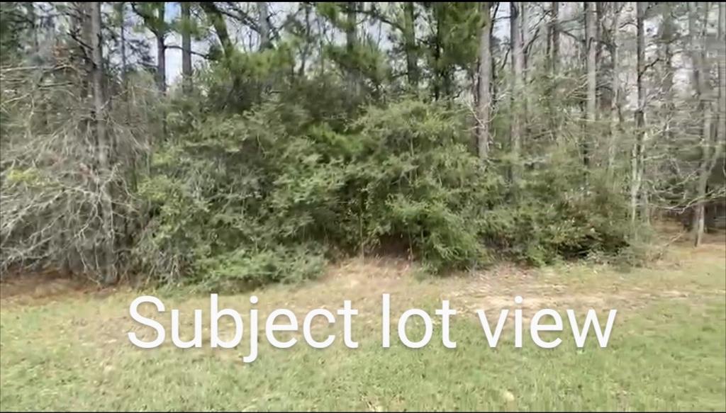 a view of a yard with an tree