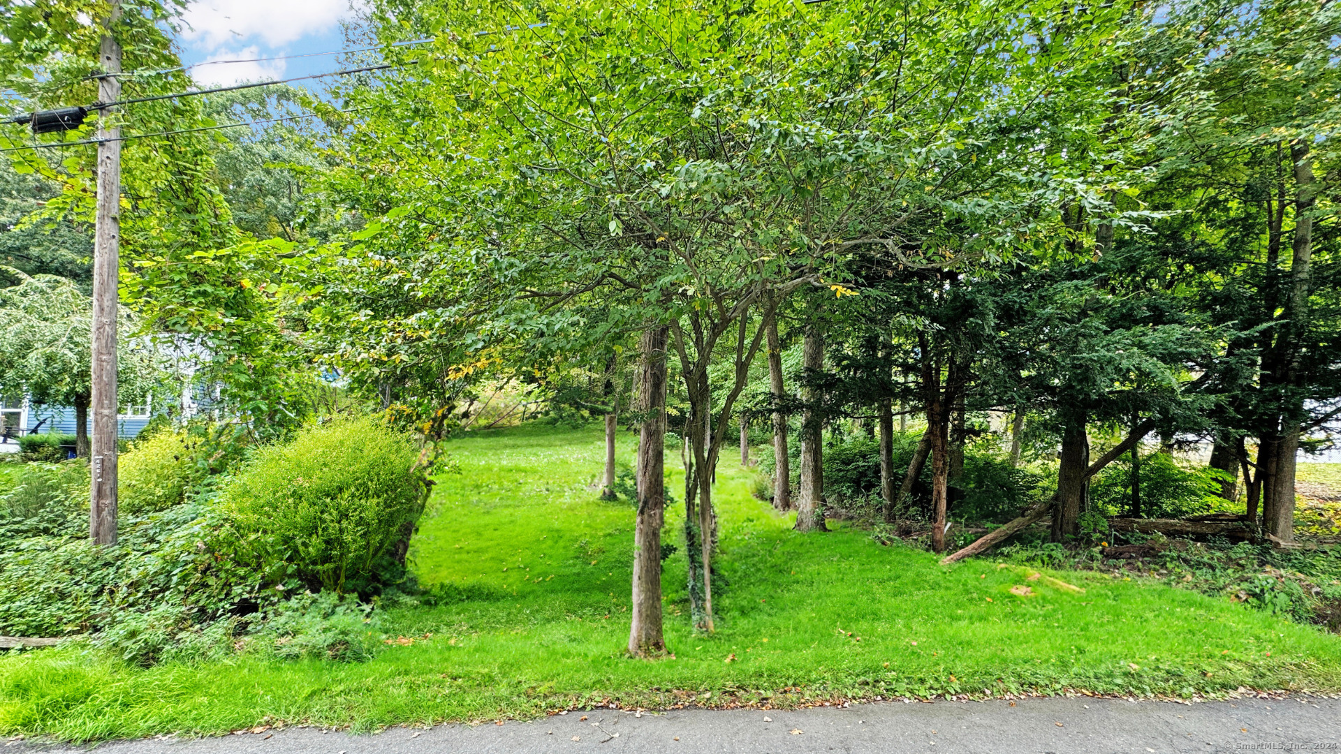 Road Frontage View