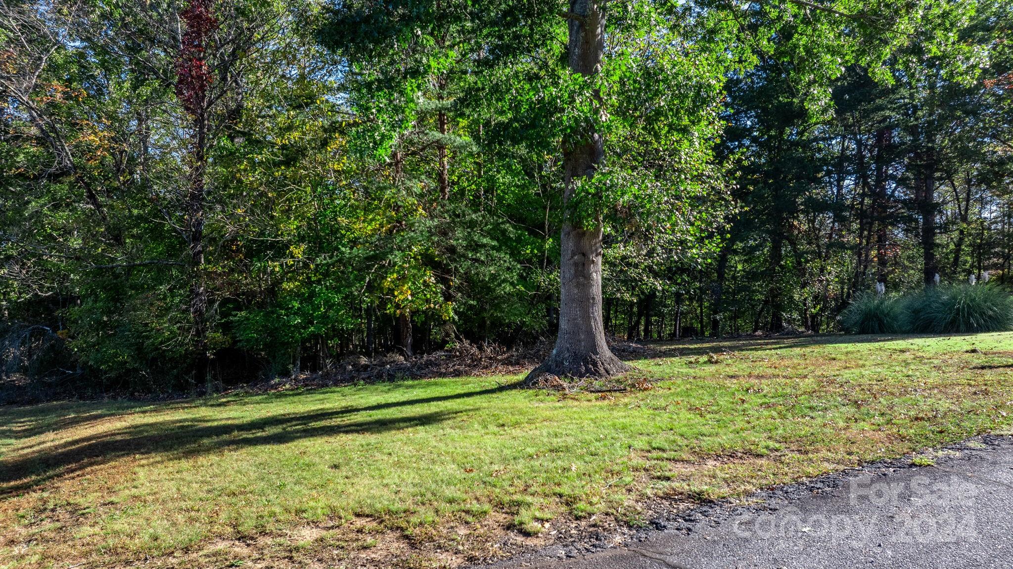 a view of a backyard with a tree