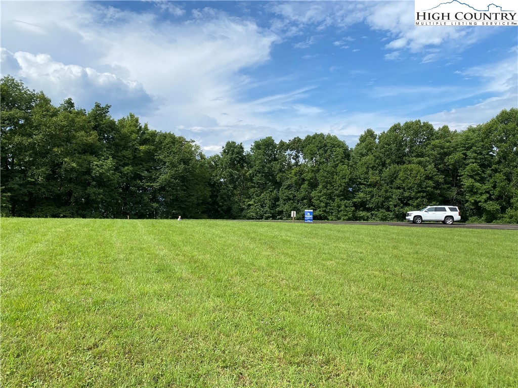 a view of a field of grass and trees