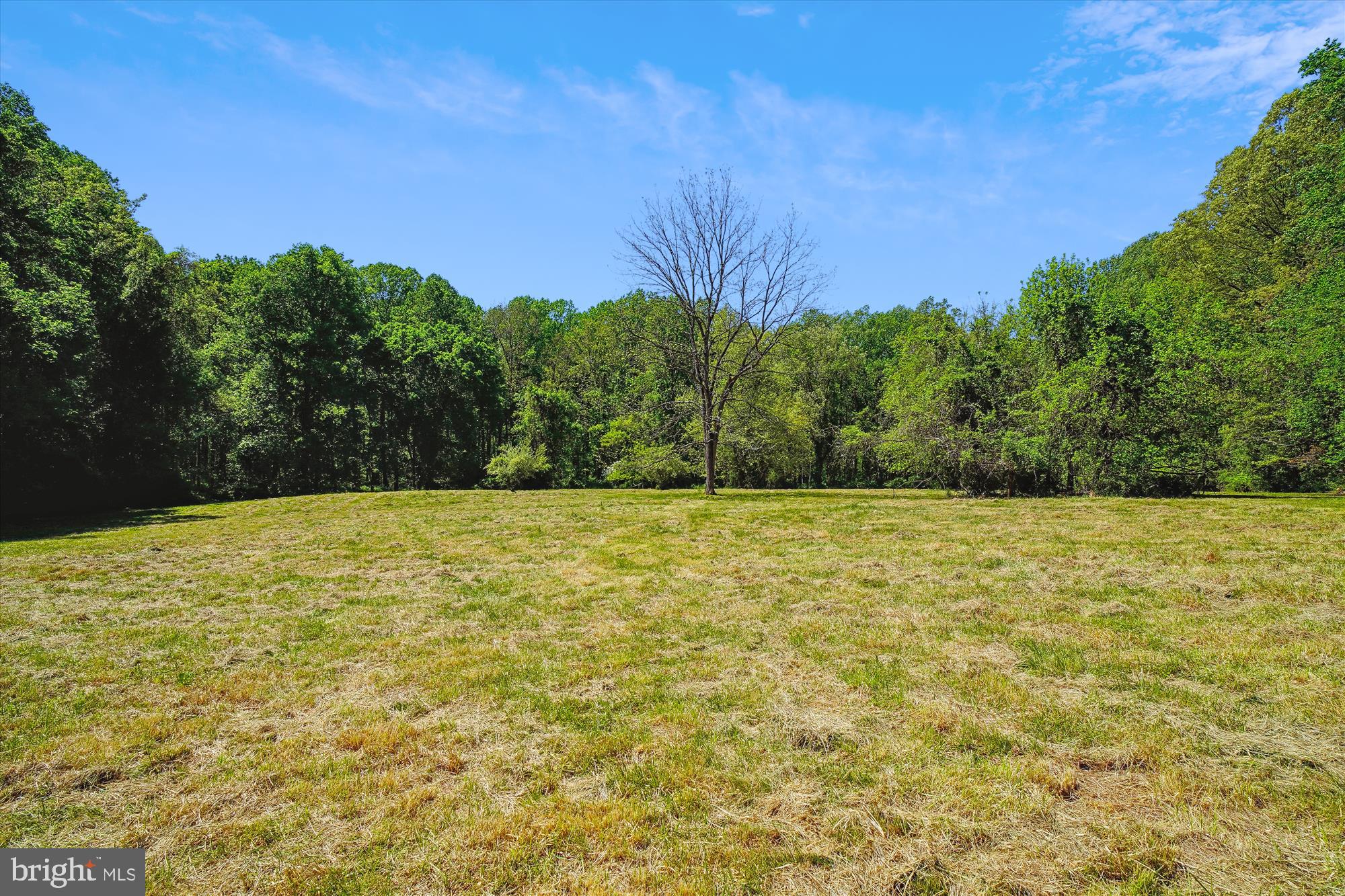 a view of a yard