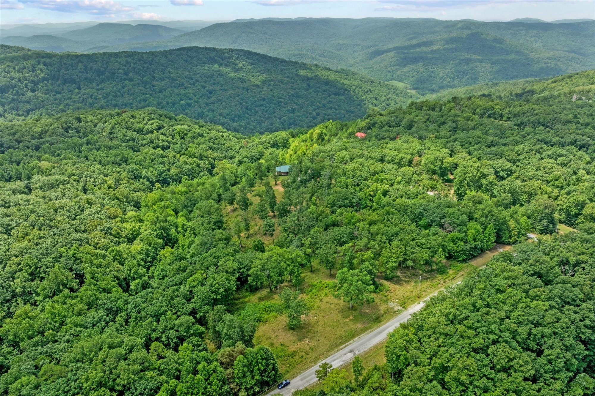 a view of a lush green space