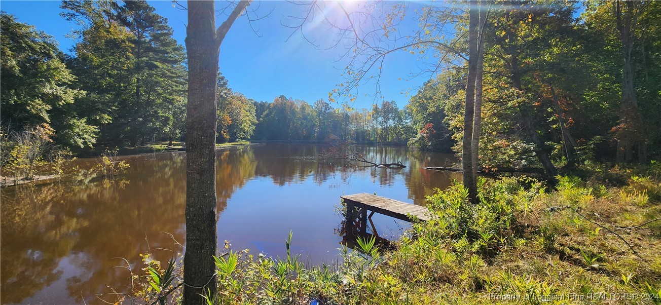 a garden view with a lake view