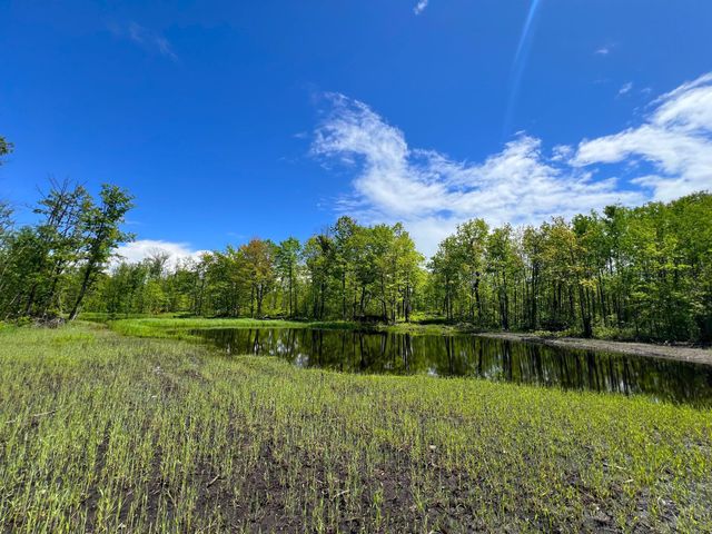 $759,500 | Xxx Woods Road | Hay Brook Township - Kanabec County