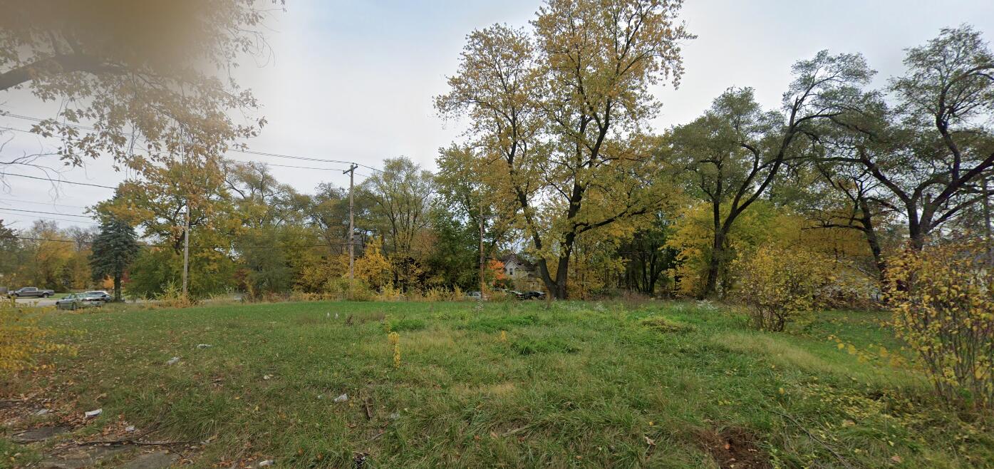 a view of a grassy field with trees