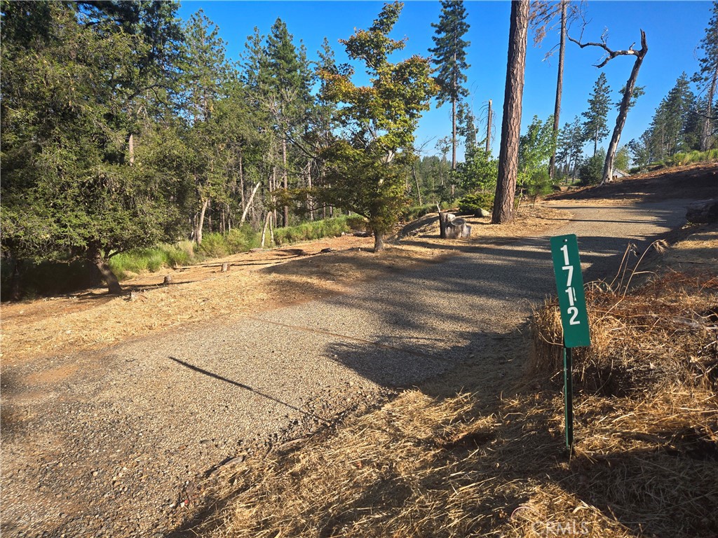 a view of road with trees