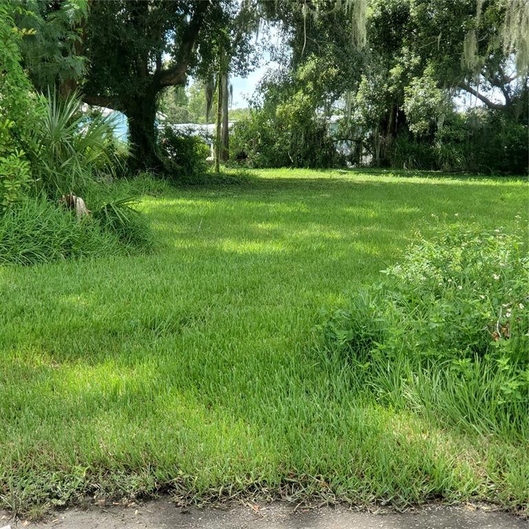 a view of a lush green space