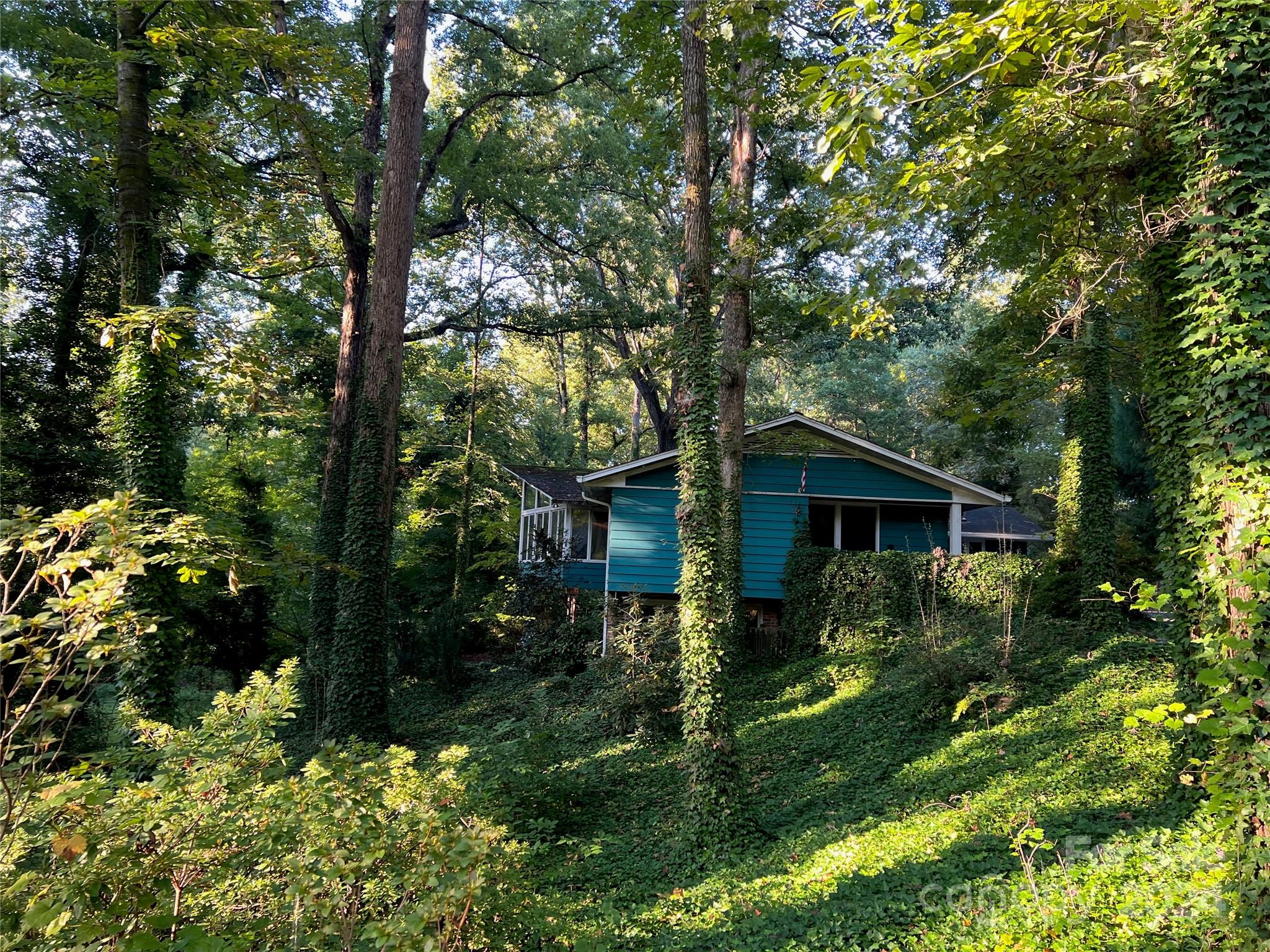 a view of backyard of house with green space