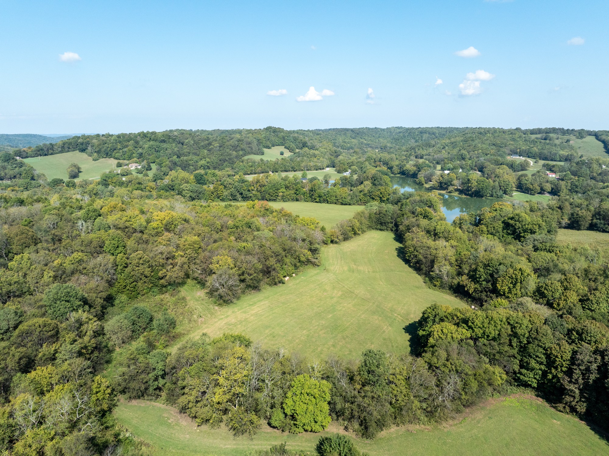 an aerial view of residential houses with outdoor space and trees