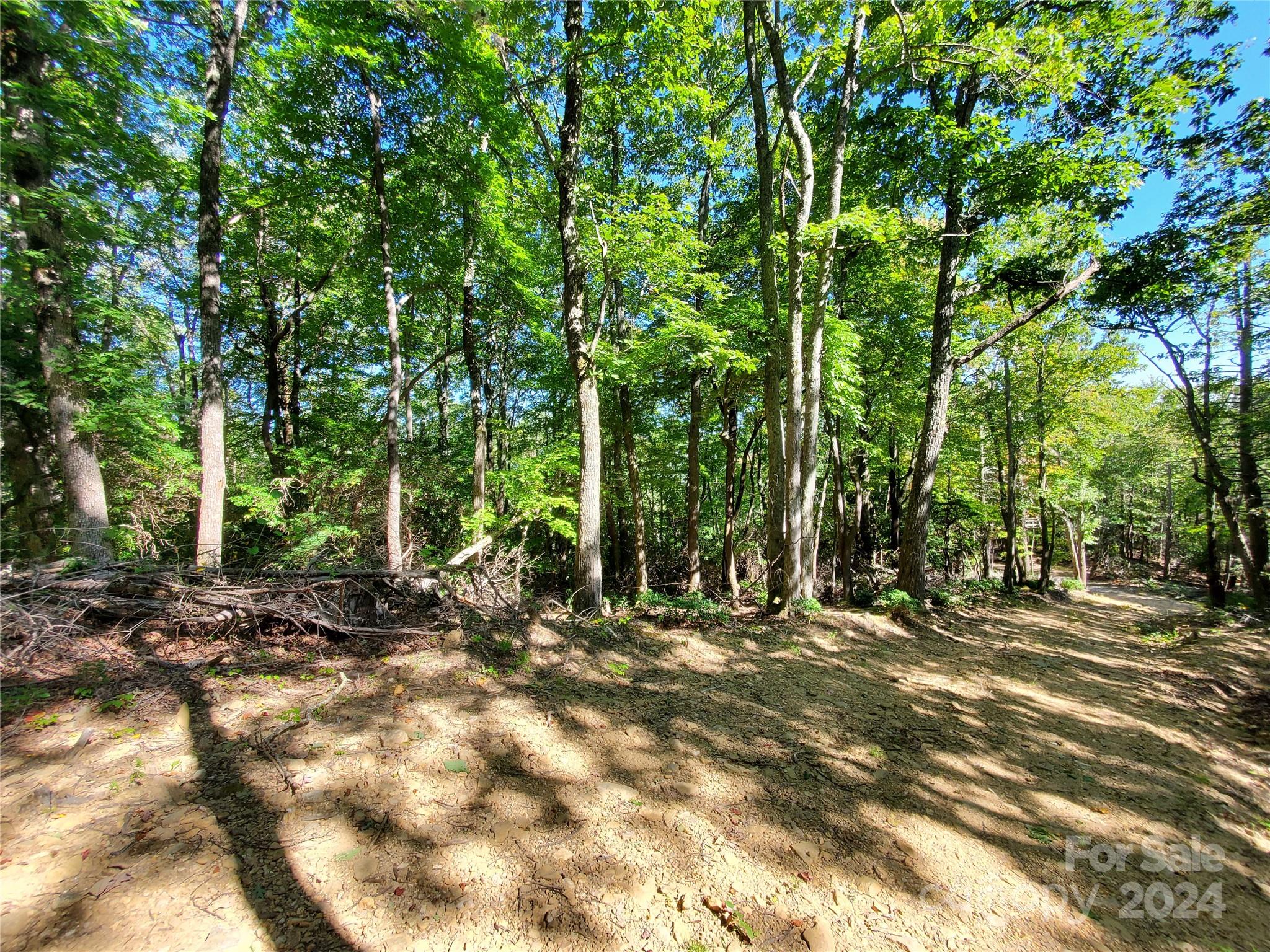 a view of outdoor space with trees